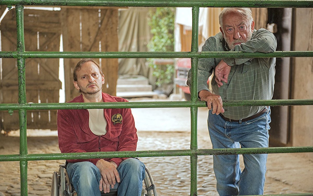 Milan Peschel (left) and Dieter Hallervorden are the shaky brains trust behind the racehorse. Photo: Netflix