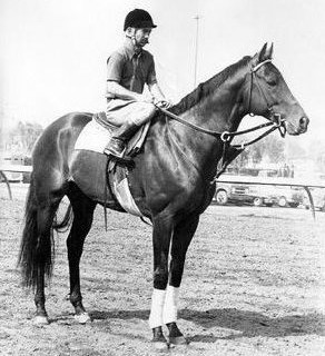 Bill Shoemaker and Hill Rise strike a pose as the 1964 Kentucky Derby approaches. Photo: Churchill Downs