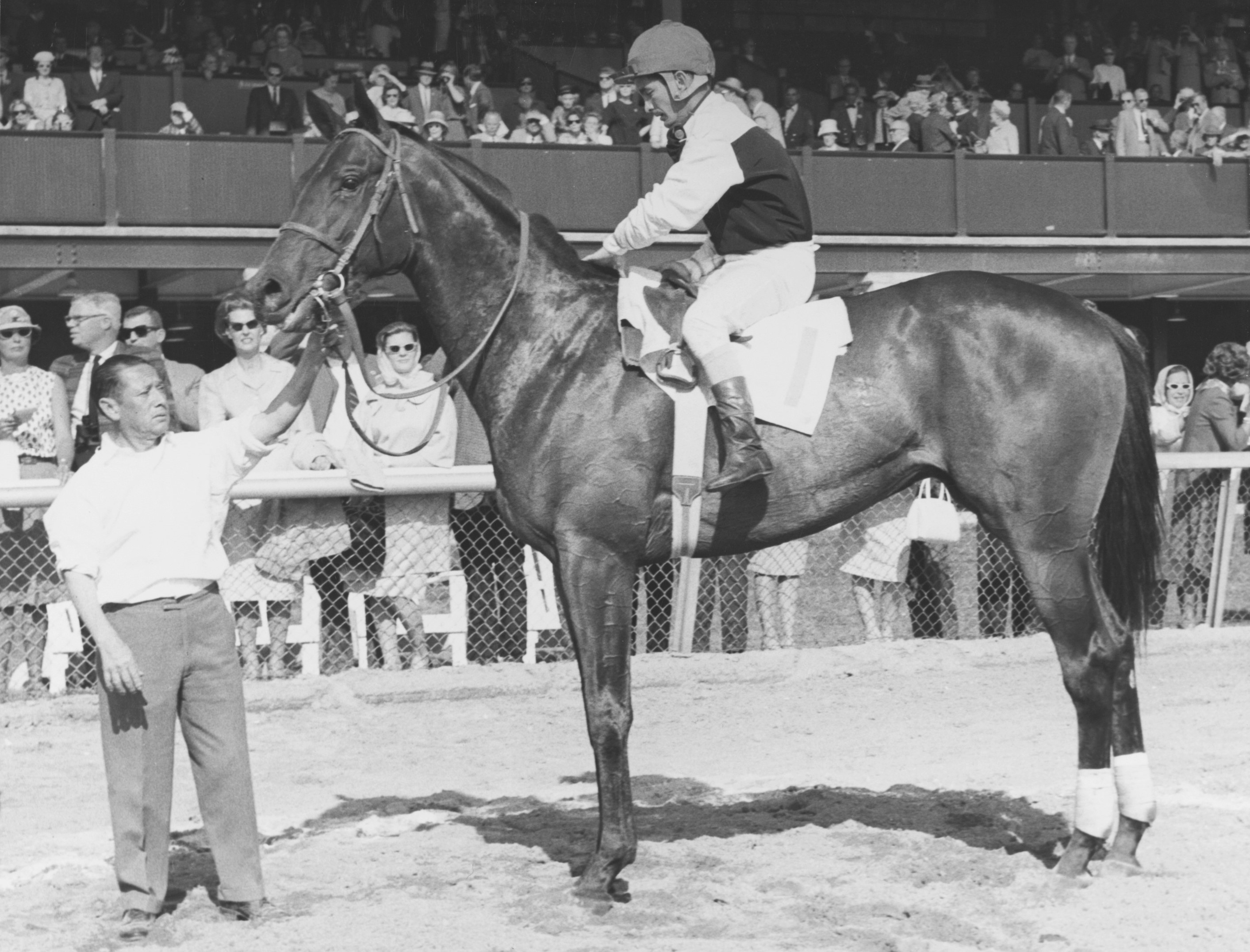 Keeneland fans found out about Hill Rise after he aced the Forerunner Purse. Photo courtesy of Keeneland Library