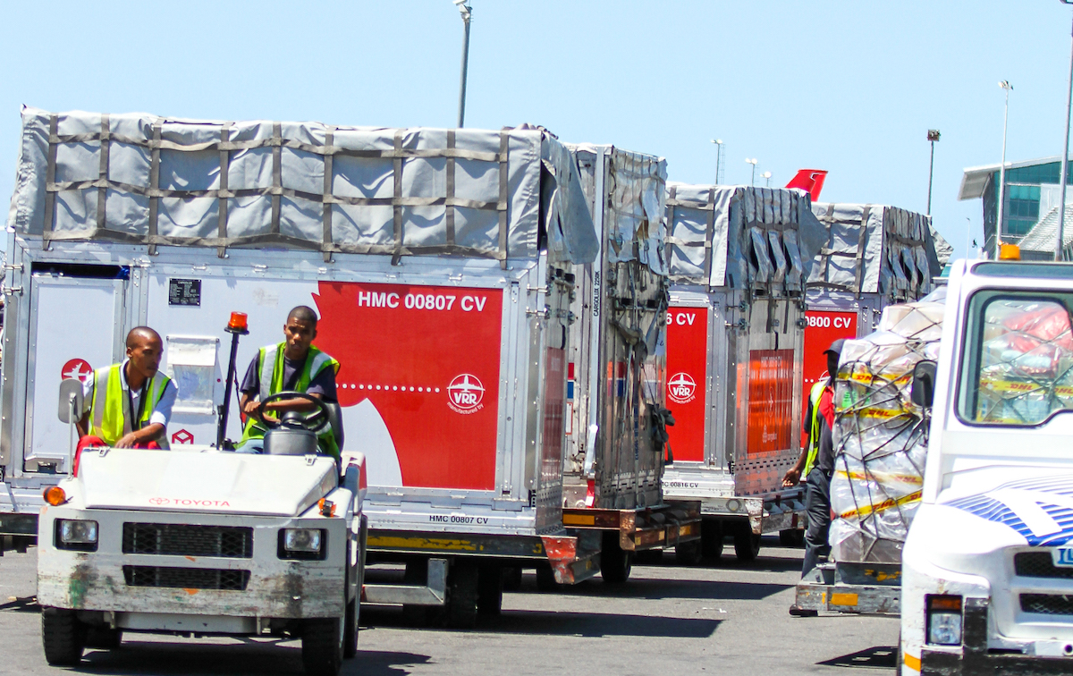 Horses in transit at the airport in South Africa. Photo: Liesl King