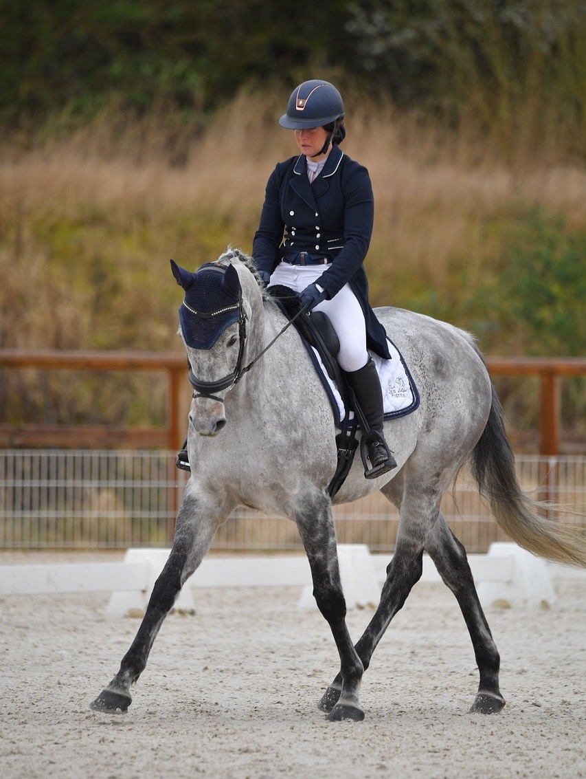 Bring on the dancing horses: Vazirabad in dressage mode. Photo: Joel Bonnefond