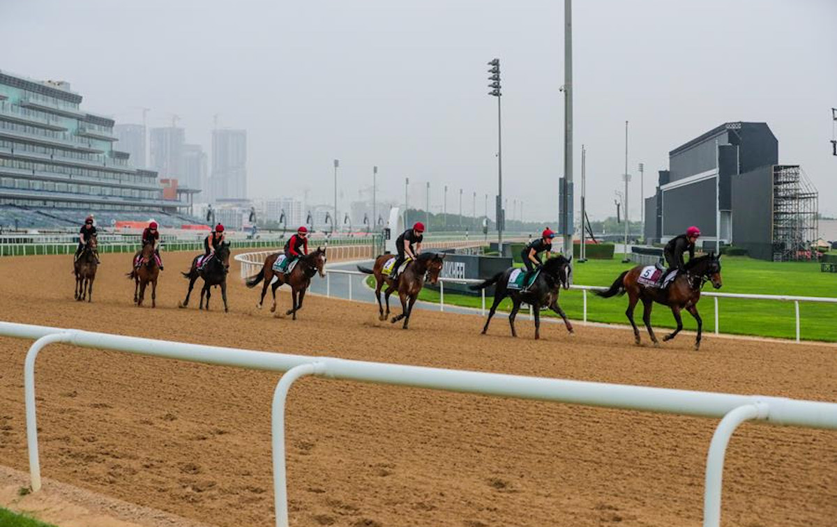 Magnificent seven: Auguste Rodin (second from right) with the rest of the Aidan O’Brien team at Meydan. Photo: Dubai Racing Club/Liesl King