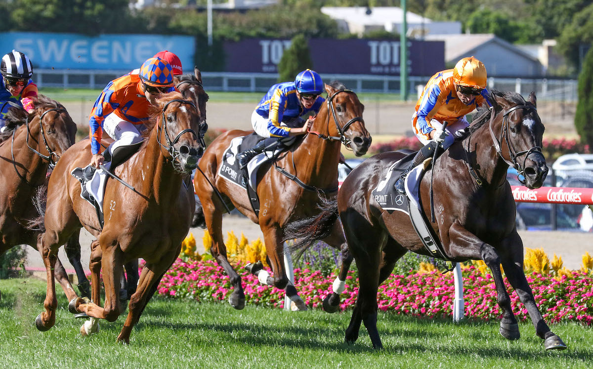 Imperatriz (Opie Bosson) brings up an incredible 10th G1 win in the William Reid Stakes. Photo: Bruno Cannatelli/NZ Racing News