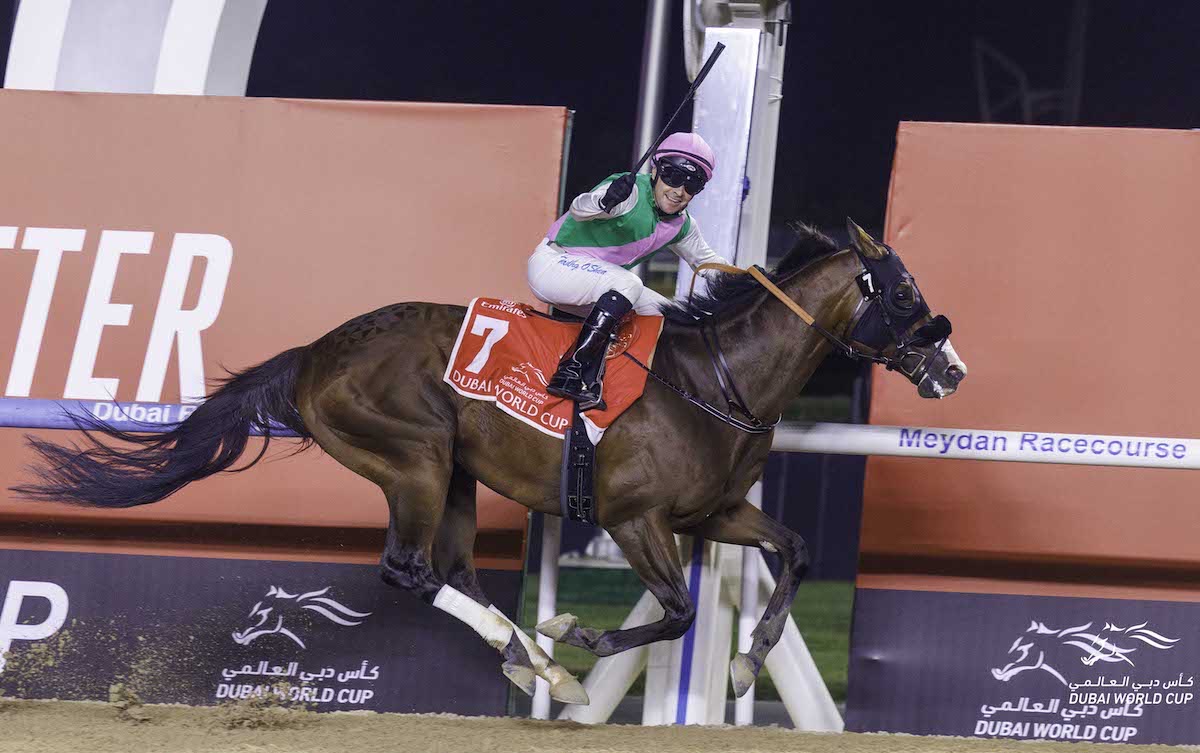 Tadhg O'Shea celebrates as Laurel River adds his name to the Dubai World Cup honour roll. Photo: Dubai Racing Club/Liesl King