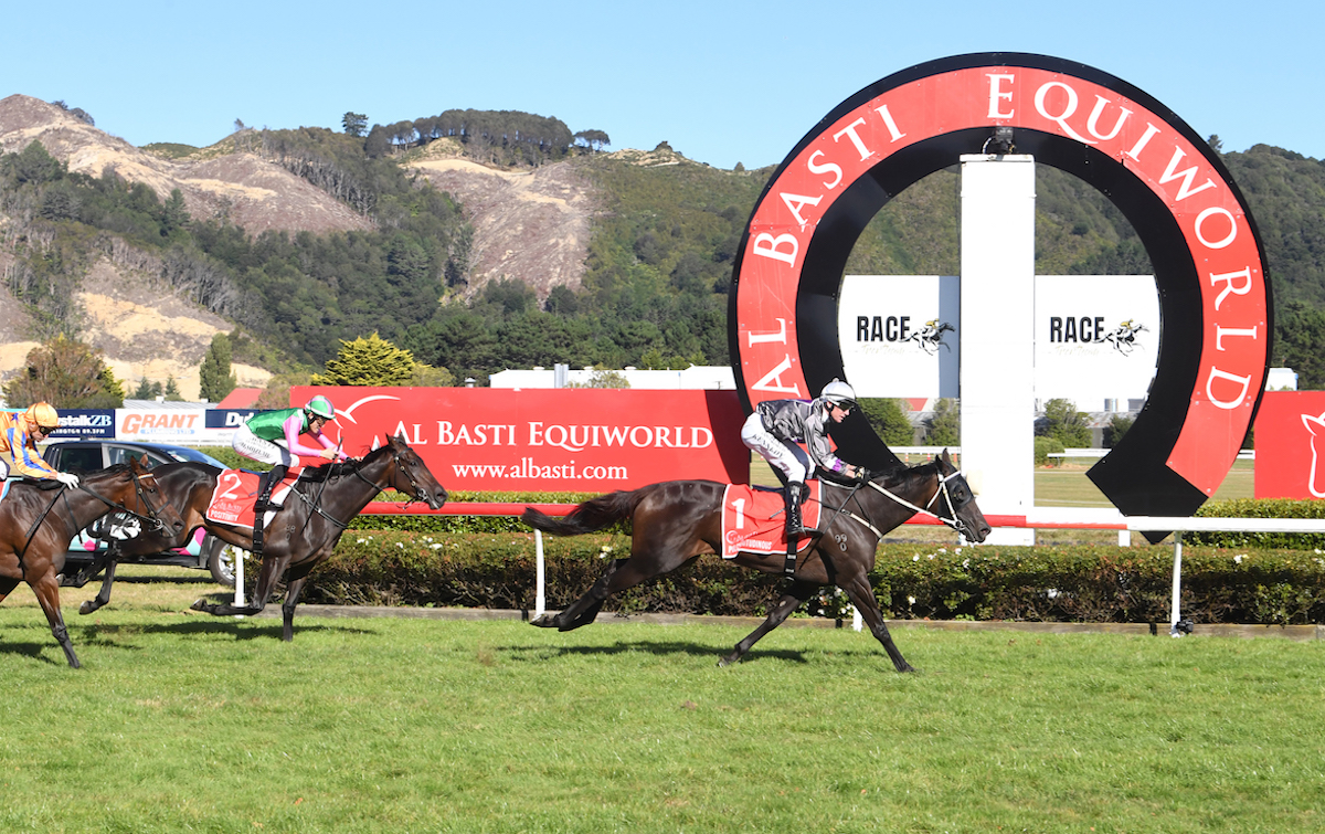 Pulchritudinous: NZ Oaks winner will join the stable of Gai Waterhouse & Adrian Bott. Photo: Race Images PN