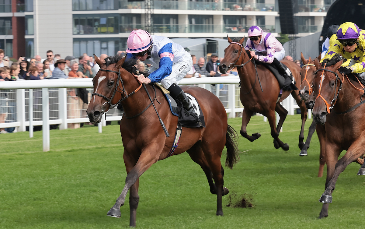 Bonus winner: Queen Of Mougins (Rossa Ryan) wins a fillies’ novice event at Newbury to claim a €10,000 bonus as part of the IRE Incentive Scheme. Photo: Mark Cranham / focusonracing.com