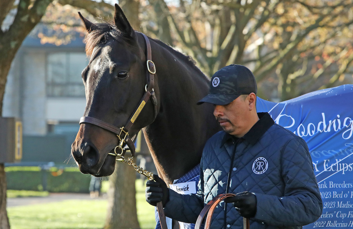 Dual Breeders’ Cup heroine Goodnight Olive parades during Keeneland’s Spring Meet. Keeneland Photo