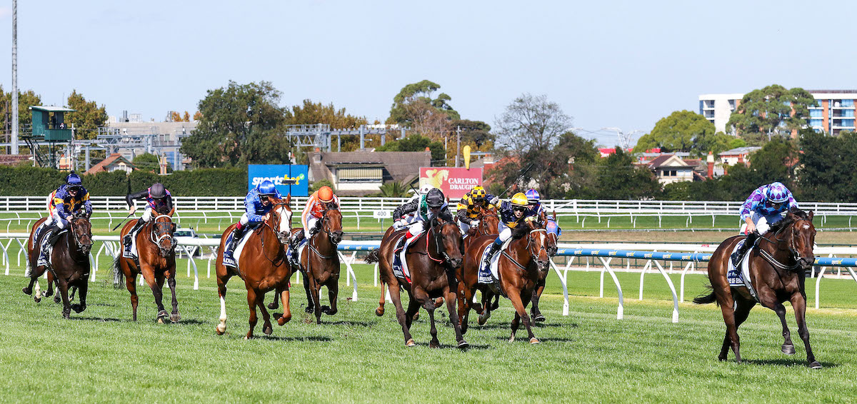 Pride Of Jenni gaps the field under Declan Bates in the All-Star Mile at Caulfield in March. Photo: Bruno Canatelli / NZ Racing News