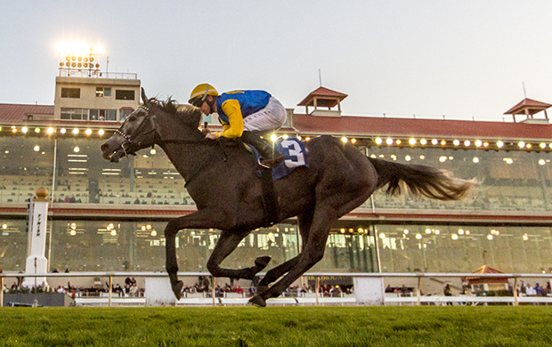 Ben Curtis scores a black-type win on Tufani at Fair Grounds. Photo: Hodges Photography