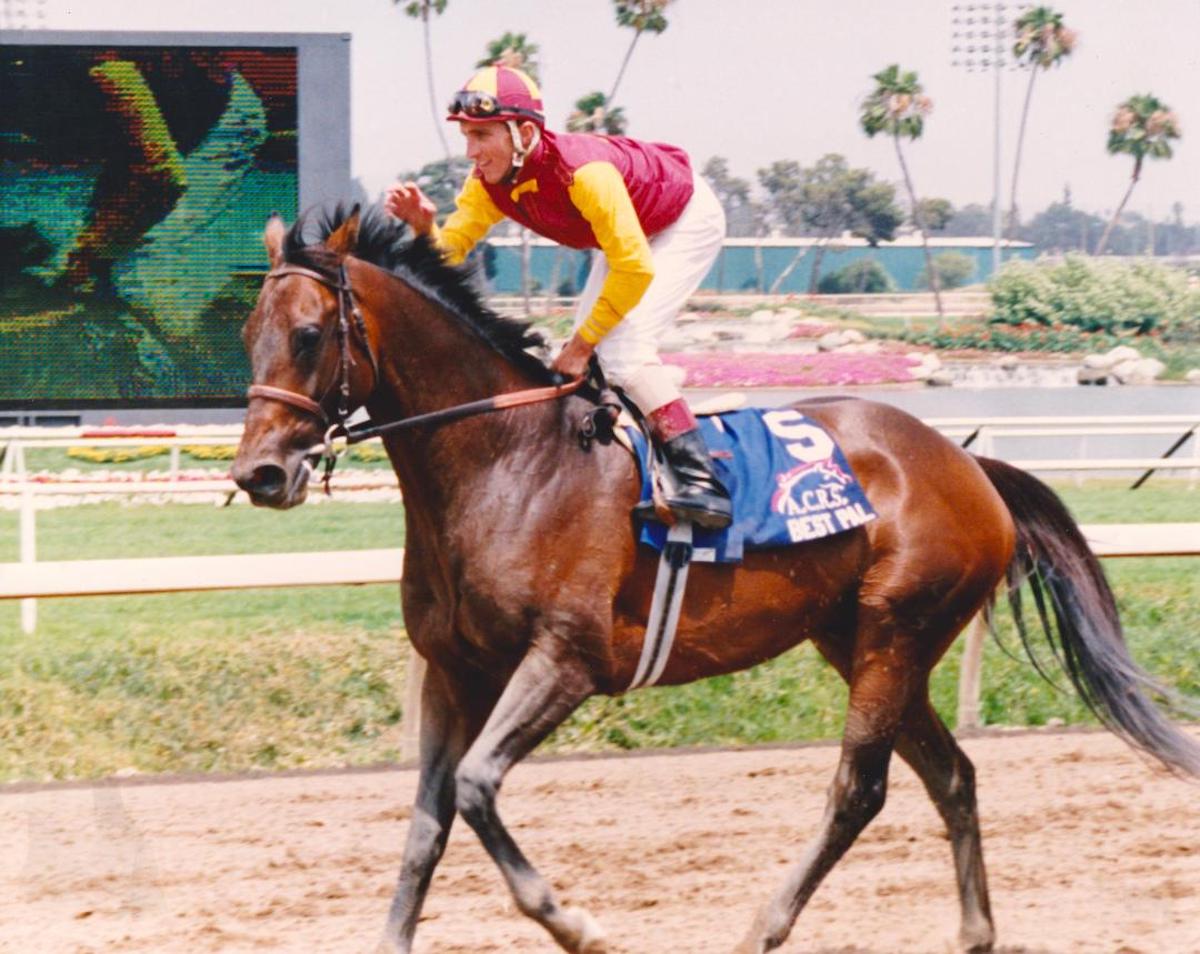 Young Corey Black is all smiles as Best Pal takes a bow after winning the Gold Cup. Photo: Stidham & Assoc. / Hollywood Park*