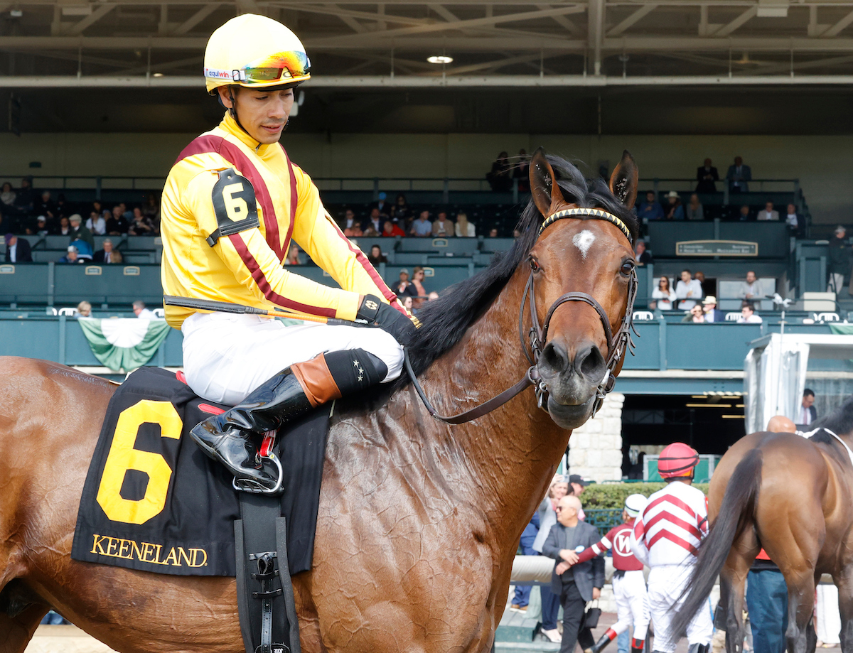 Fandom (Jose Ortiz) after winning the Palisades at Keeneland. Photo: Keeneland / Photos by Z