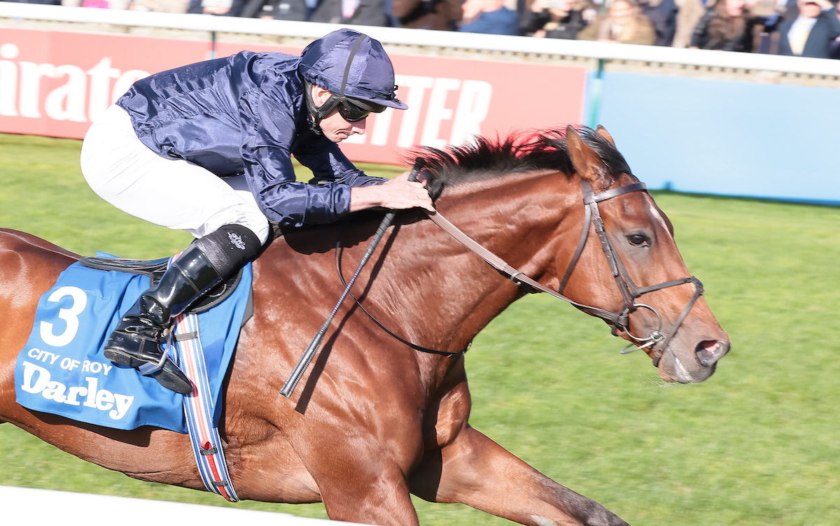 Date with destiny: City Of Troy heads Qipco 2000 Guineas. Photo: Mark Cranham / focusonracing.com