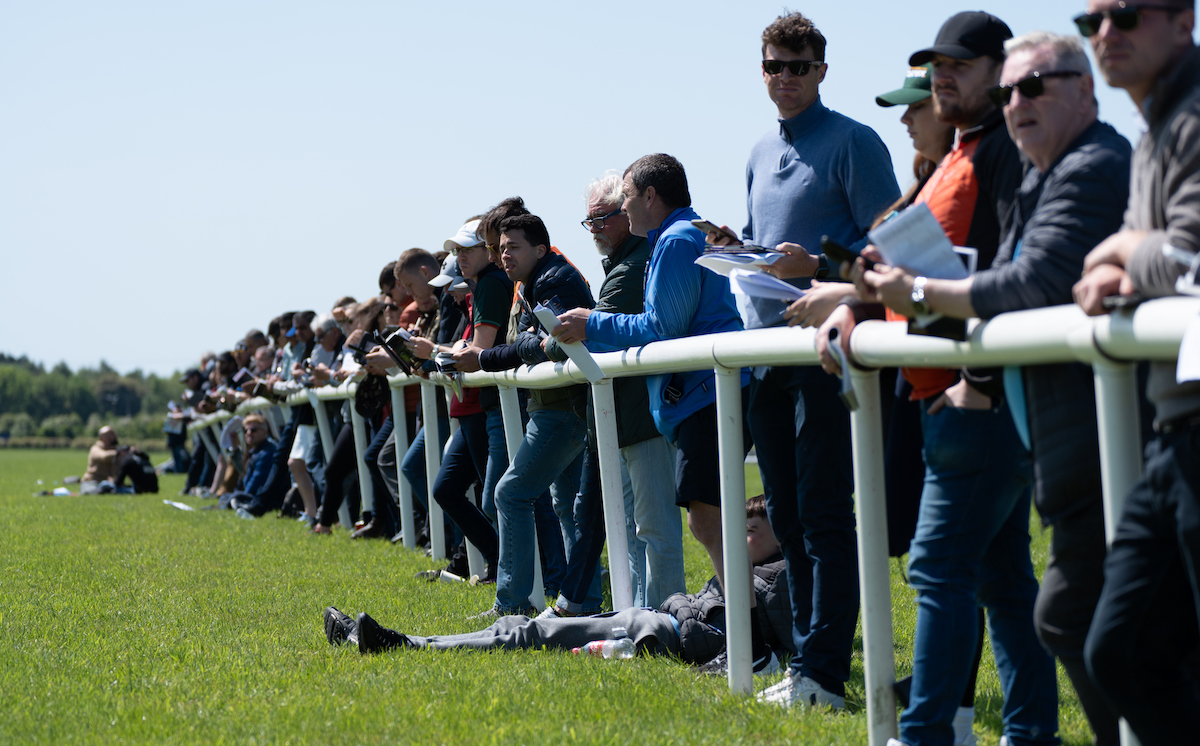 All eyes on the action at the Tattersalls Ireland Breeze-Up Sale in 2023. Photo: ITM