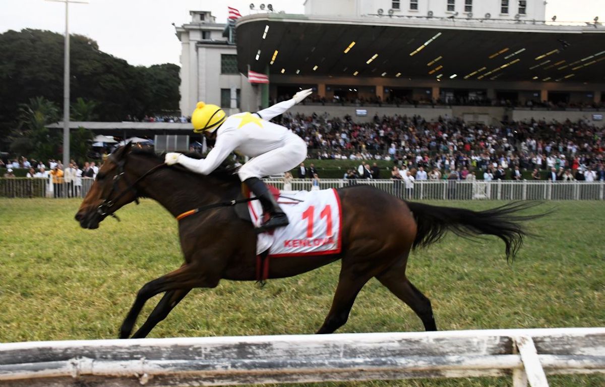Jockey Francisco Leandro drives out Kenlova to win the GP Sao Paulo at Cidade Jardim. Photo: Porfírio Menezes / Jockey Club de Sao Paulo