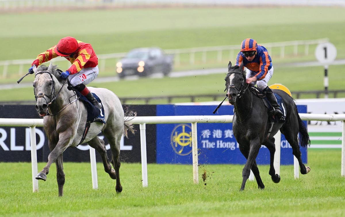 Eclipse no-go: White Birch (Colin Keane) beats Auguste Rodin in the Tattersalls Gold Cup. Photo: Healy Racing / focusonracing.com
