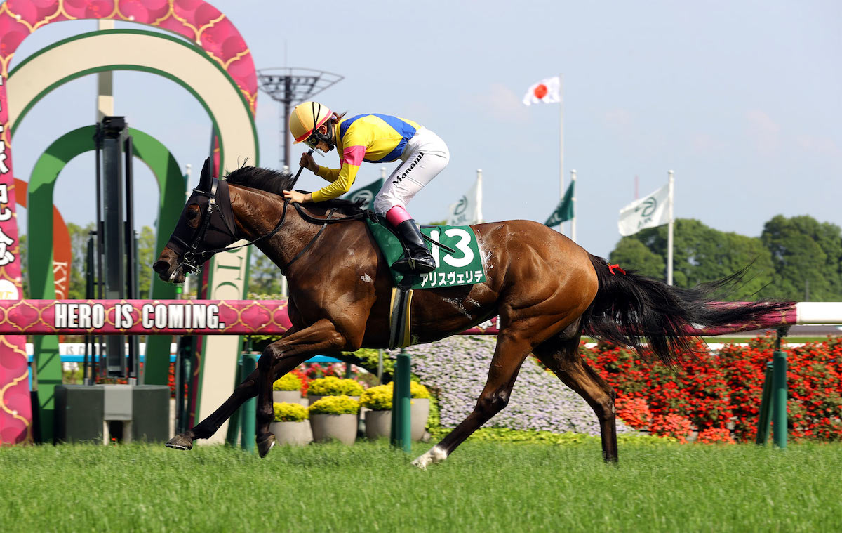 California, here we come: Alice Verite (Manami Nagashima) scores at Kyoto. Photo: JRA