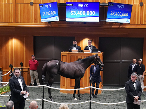 Top of the shop: yearling colt by Not This Time lights up the board. Photo: Fasig-Tipton