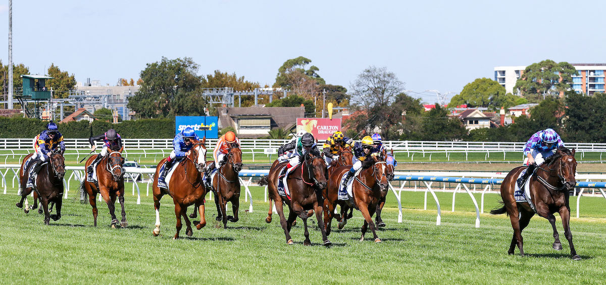 Pride Of Jenni gaps the field in last season’s All Star Mile at Caulfield. Photo: Bruno Canatelli / NZ Racing News