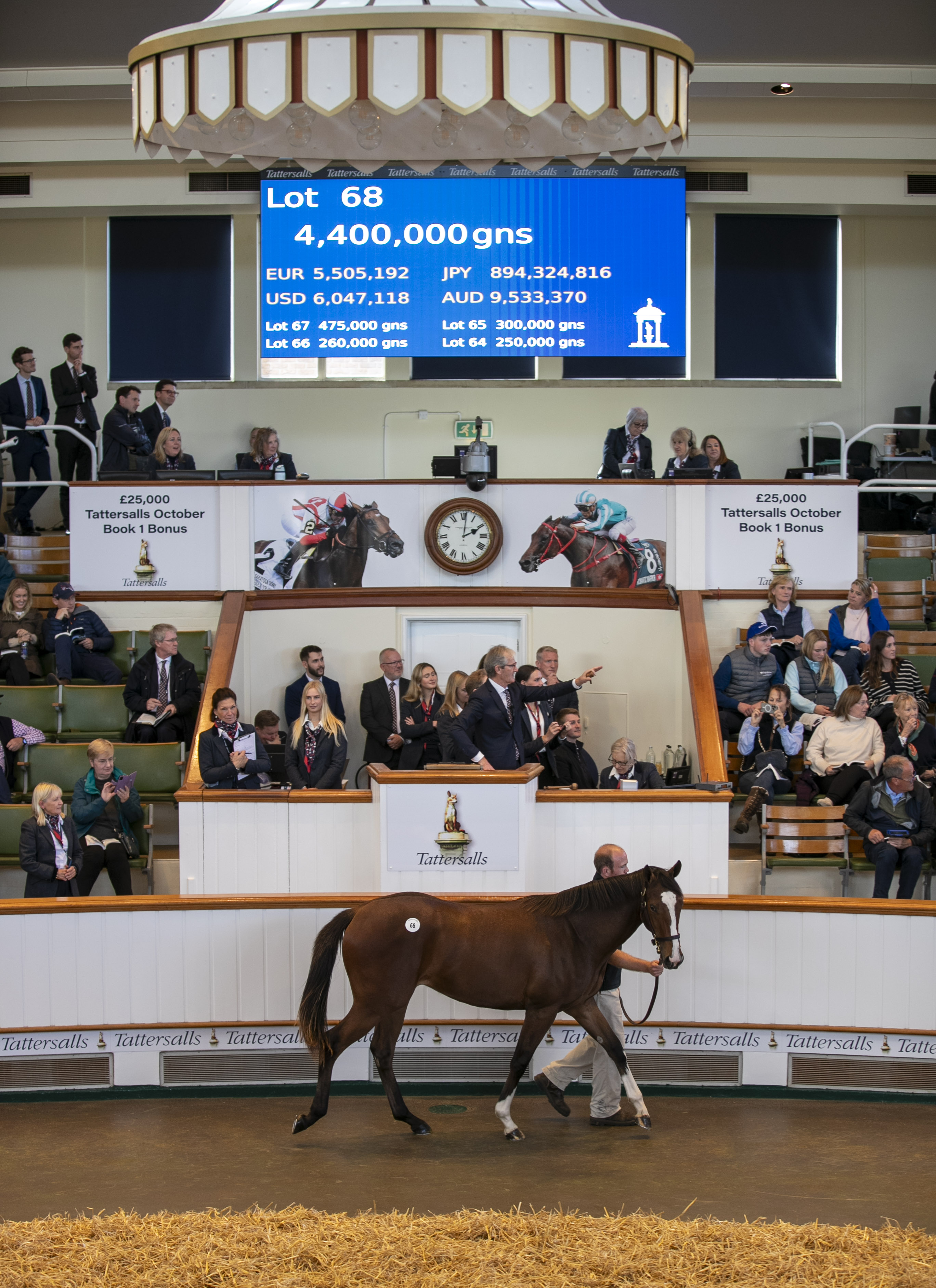 Big money: Lot 68 at the opening session to Book 1 of the Tattersalls October Yearling Sale. Photo: Tattersalls