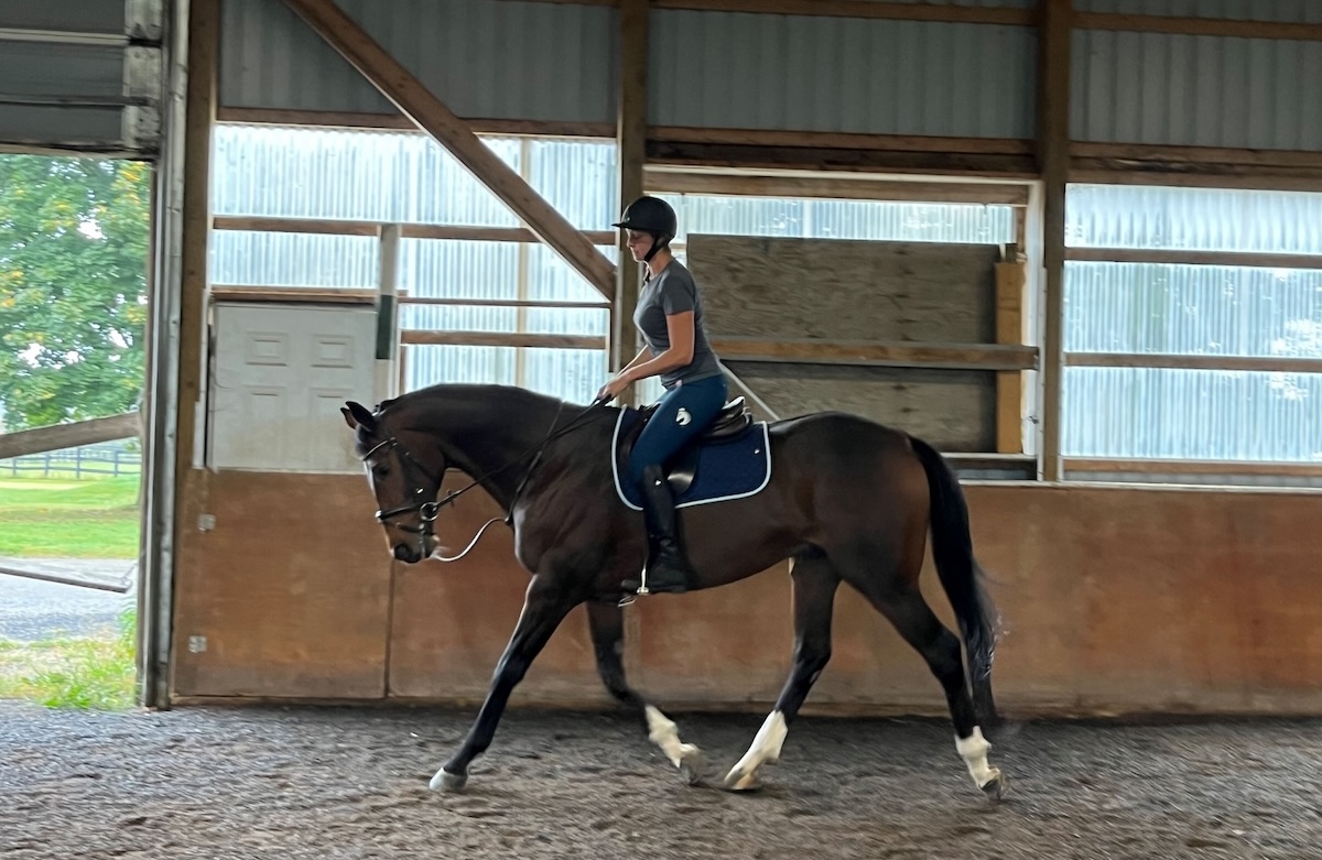 Indoor schooling at the Hillsburgh, Ontario, facility. Photo: Woodbine