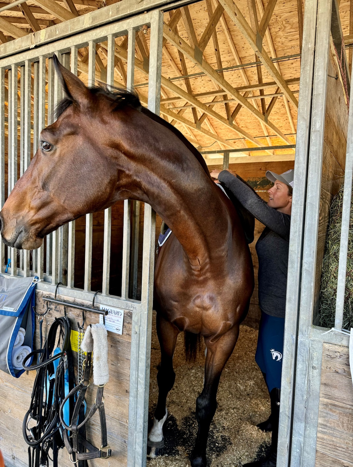 Hands-on approach: farm manager Lauren Millet in action at LongRun Thoroughbred Retirement Ceremony. Photo: Woodbine