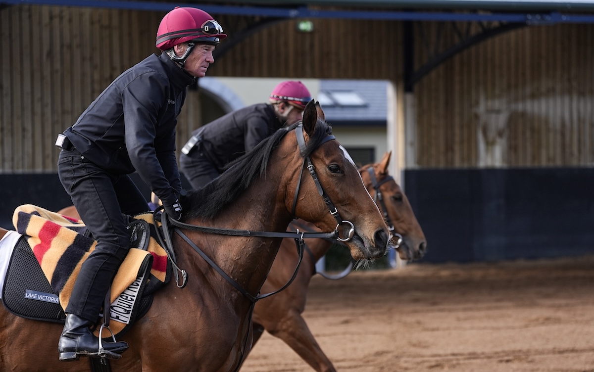 Lake Victoria: may yet make the Betfred 1,000 Guineas. Photo: John Hoy / The Jockey Club