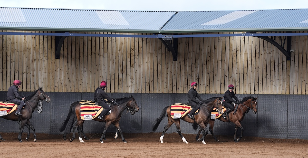 Morning workers head out at Ballydoyle, among them leading Classic prospect Twain (second left). Photo: John Hoy / The Jockey Club