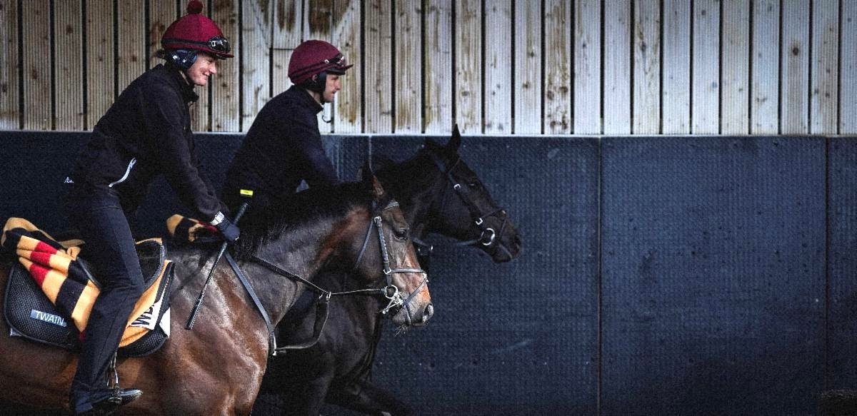 Leading 2,000 Guineas prospect Twain goes through his paces in the indoor school at Ballydoyle. Photo: John Hoy / The Jockey Club