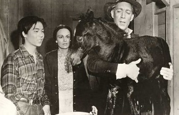 Davey and Sarah help Charley celebrate the birth of the foal that becomes Black Gold. (Allied Artists photo)