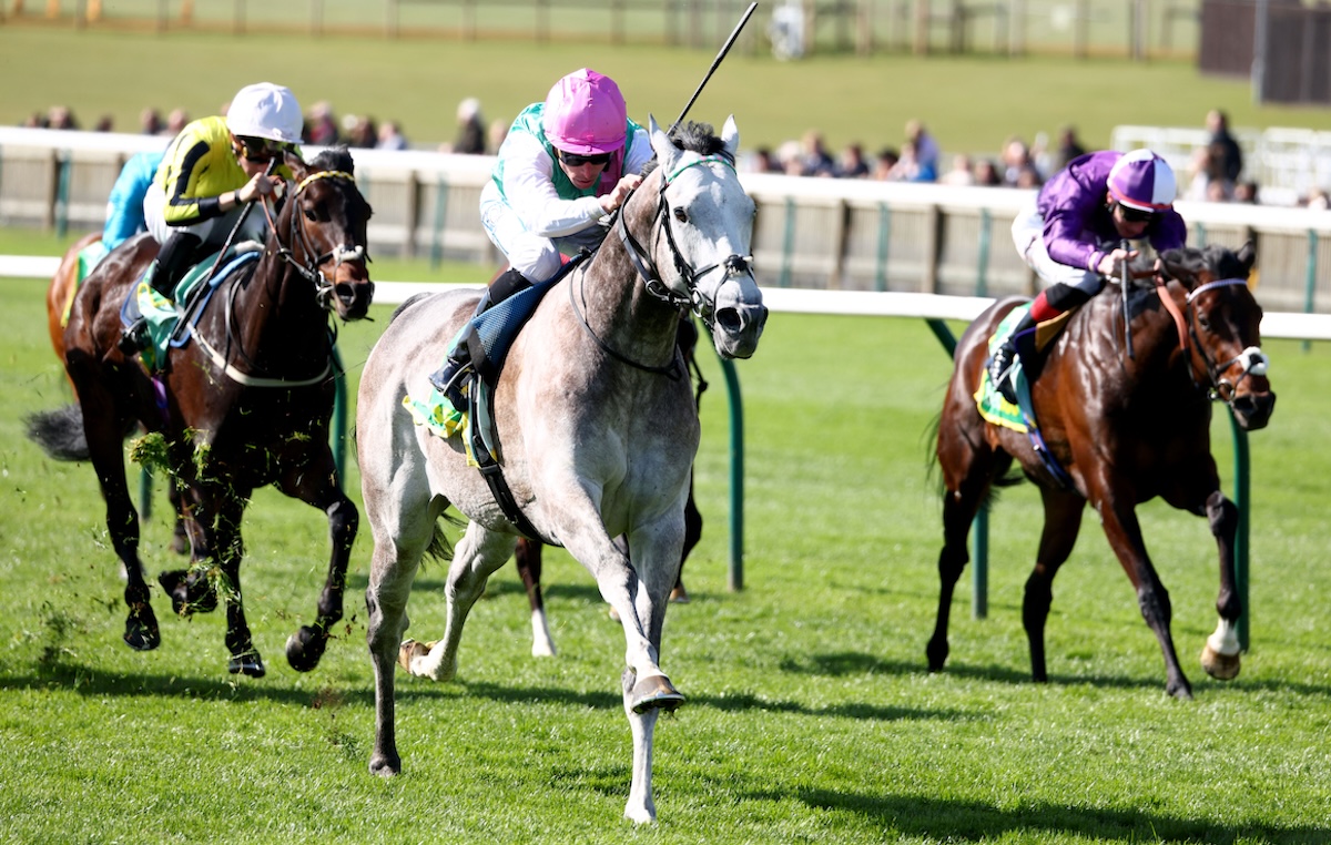 Guineas favourite Field Of Gold (Kieran Shoemark) wins the Craven Stakes. Photo: Dan Abraham / focusonracing.com