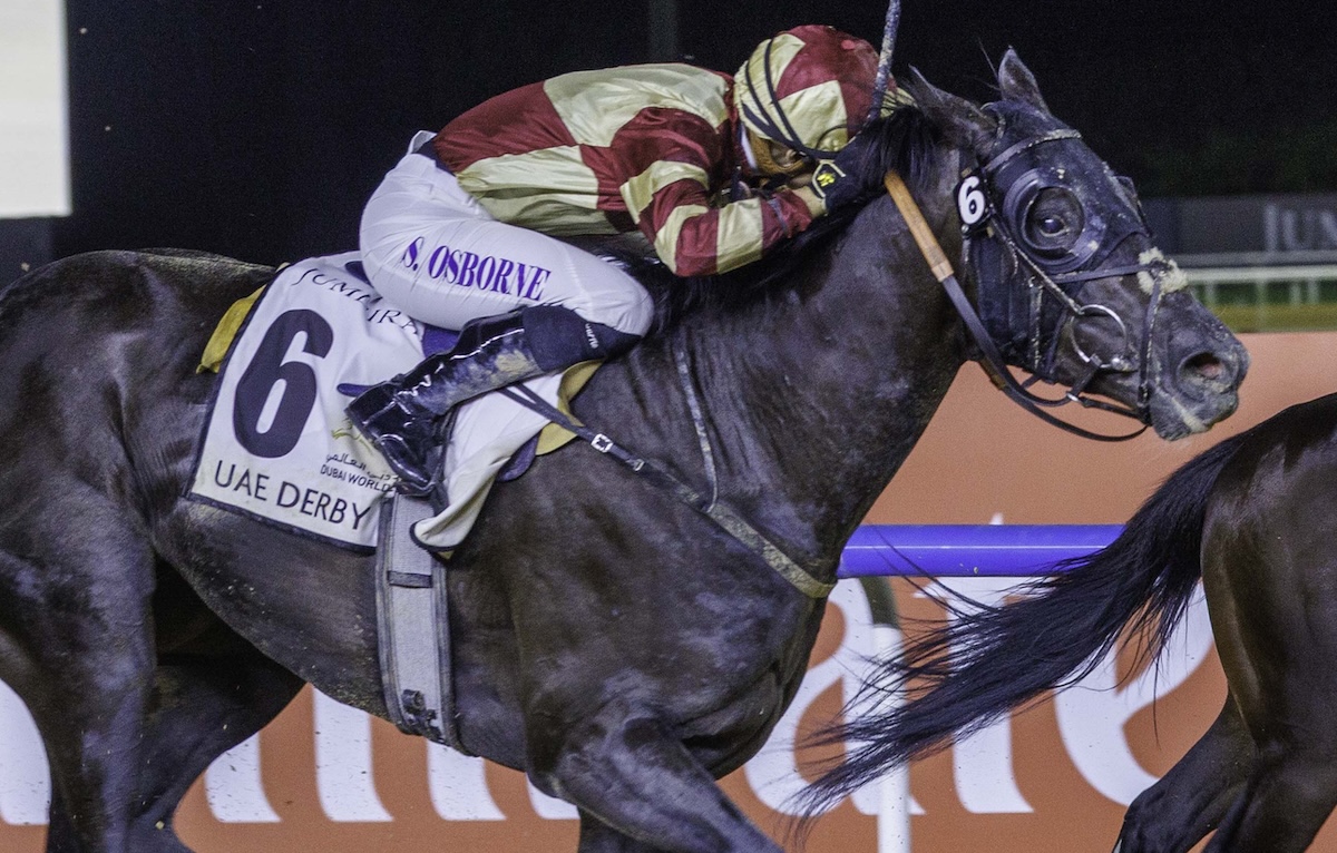 Heart Of Honor: UAE Derby runner-up set to run in Preakness. Photo: Dubai Racing Club / Liesl King