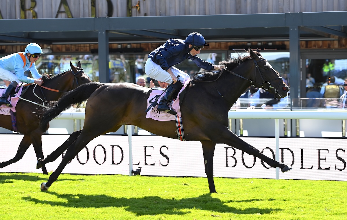 In the Derby picture: Lambourn (Ryan Moore) stretches out to win Chester Vase. Photo: Alan Wright / focusonracing.com