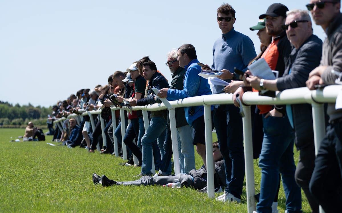 All eyes on the action at the Tattersalls Ireland Breeze-Up Sale. Photo: ITM