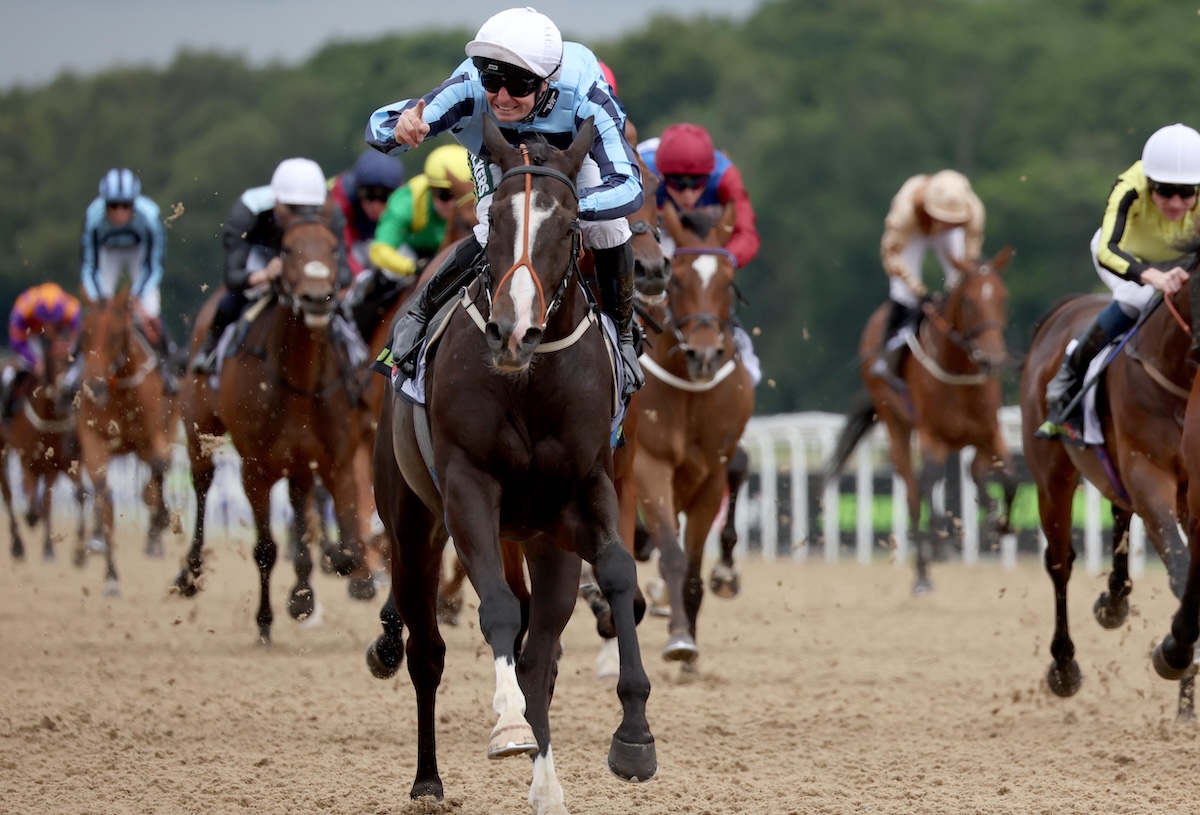 Onesmoothoperator: Northumberland Plate winner was a breeze-up purchase in 2020. Photo: Dan Abraham / focusonracing.com