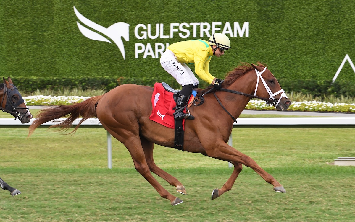 Sandal's Song (Lucai Panici) wins Royal Palm Juvenile. Photo: Lauren King / Gulfstream Park