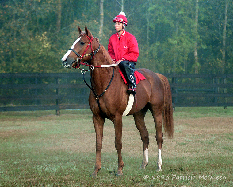 Spring chicken: Maritime Traveler back in his younger days in 1993. Photo: Patricia McQueen