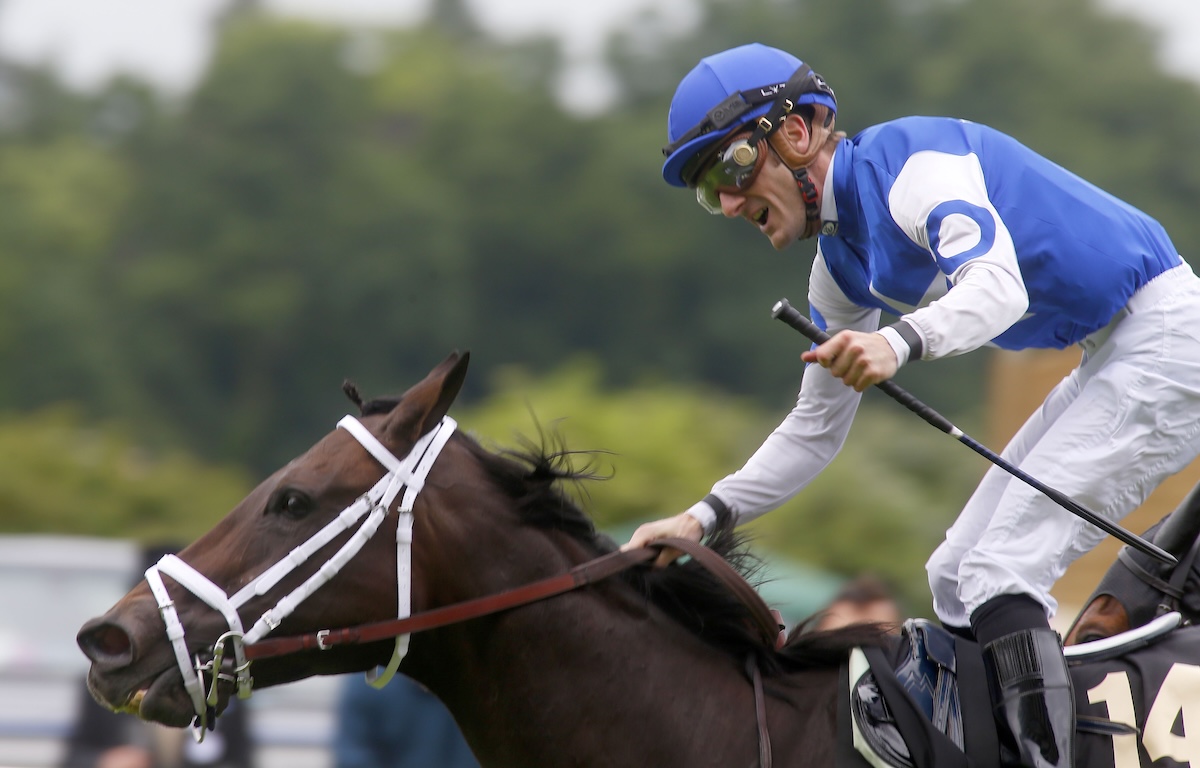 Julien Leparoux celebrates as Tepin wins Queen Anne Stakes. Photo: Dan Abraham / focusonracing.com