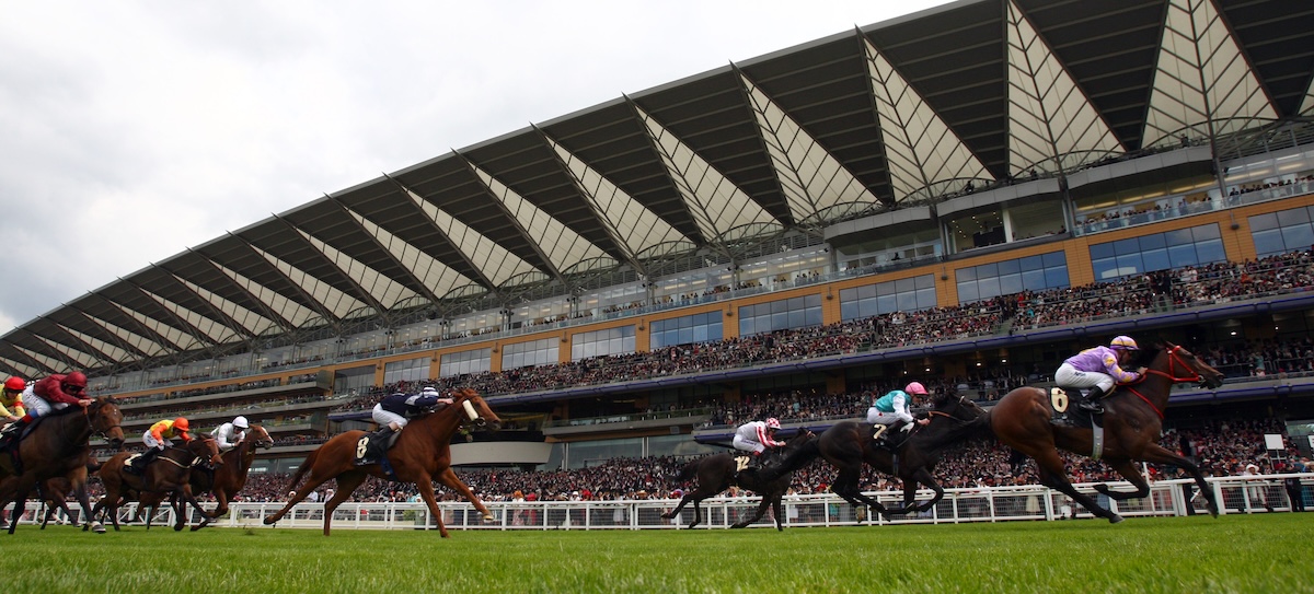Hong Kong prevails: Little Bridge (Zac Purton) storms home in front of the iconic Ascot grandstand. Photo: Dan Abraham / focusonracing.com