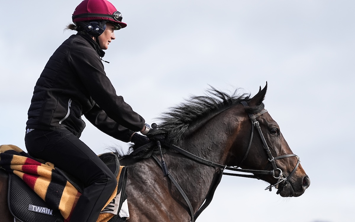 Classic no-go: Twain at Ballydoyle. Photo: John Hoy / The Jockey Club