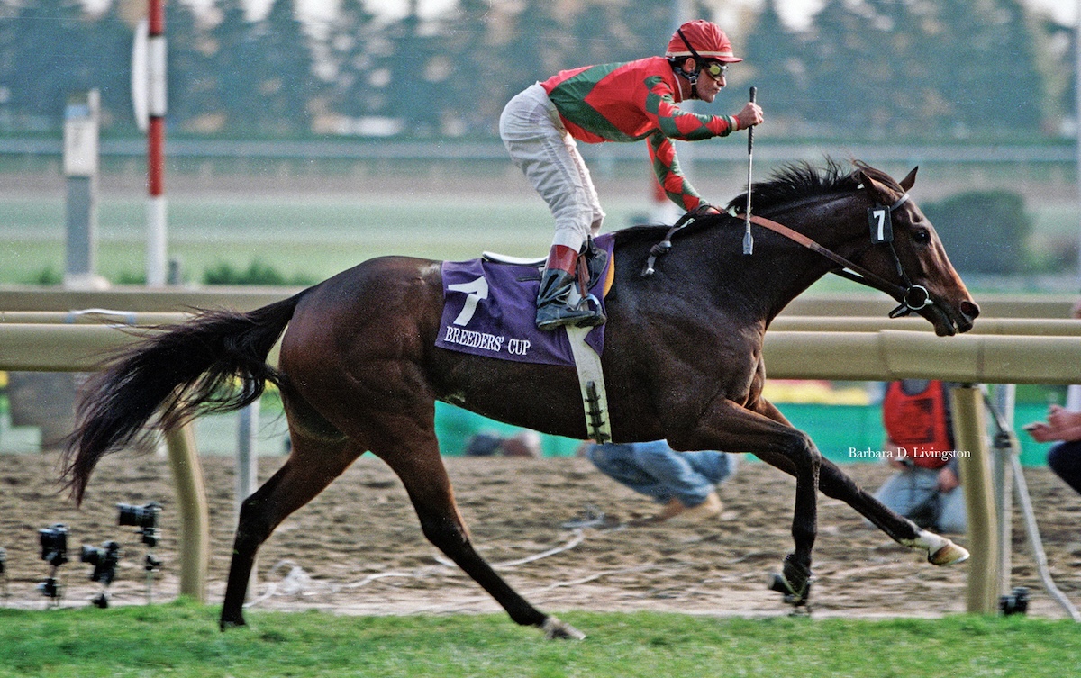 The 1996 Breeders' Cup Mile was a walk in the park for Da Hoss compared to his '98 miracle. (Barbara Livingston photo)