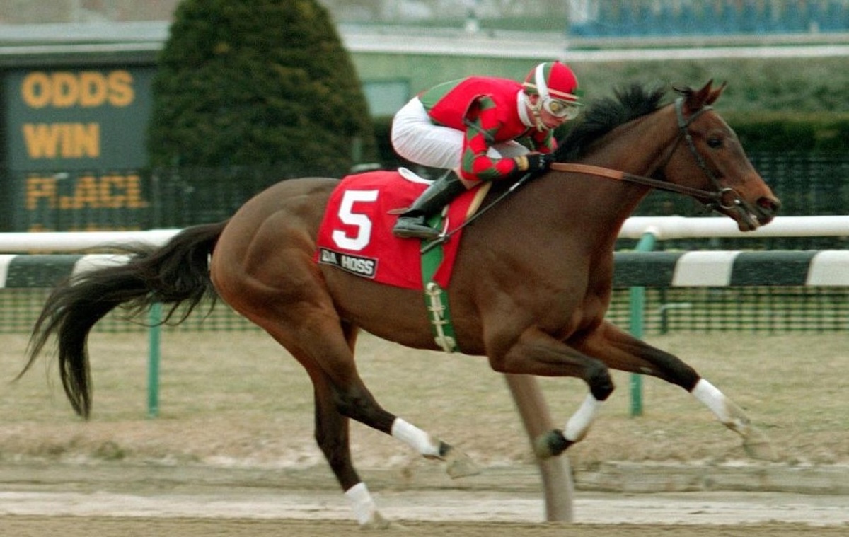 In his first start for Michael Dickinson, Da Hoss made short work of the Best Turn Stakes on the inner-track dirt at Aqueduct. (Coglianese photo)