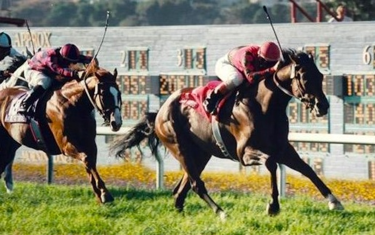 Da Hoss proves he could travel with class in his 1995 Del Mar Derby victory. (Del Mar photo)