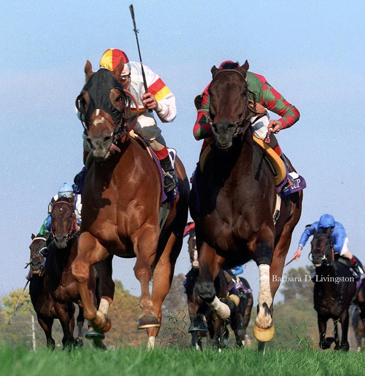 Da Hoss (right) and Hawksley Hill battle to the finish of the 1998 Breeders' Cup Mile. (Barbara Livingston photo)