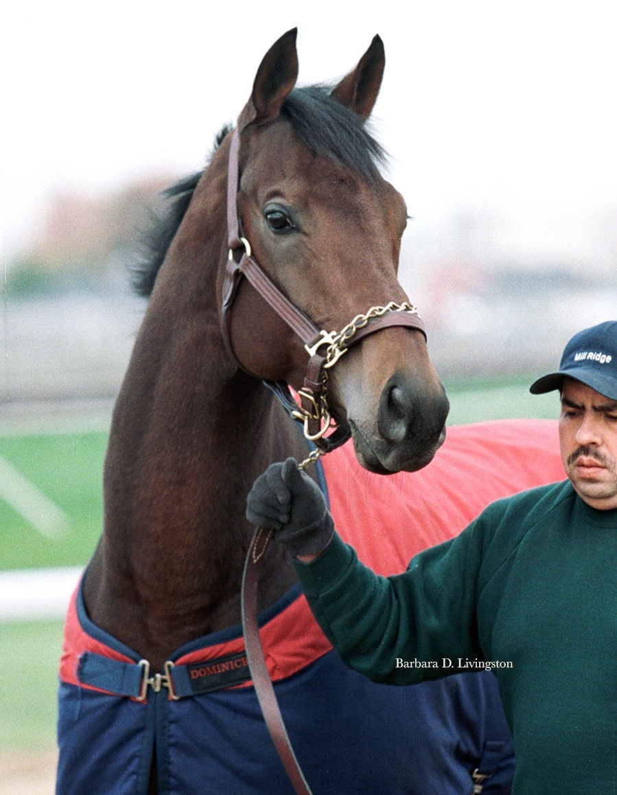 Miguel Piedra was the man with the healing hands for Da Hoss. (Barbara Livingston photo)