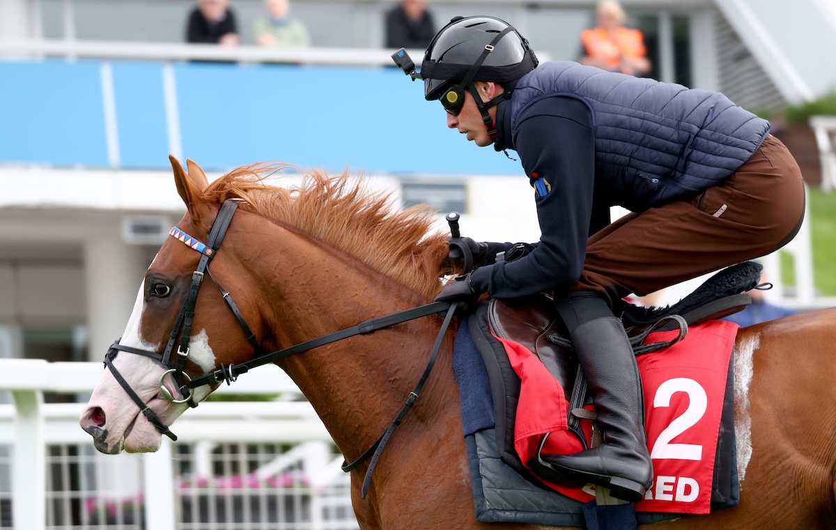 Derby hope Damysus (James Doyle) at Epsom. Photo: Dan Abraham / focusonracing.com