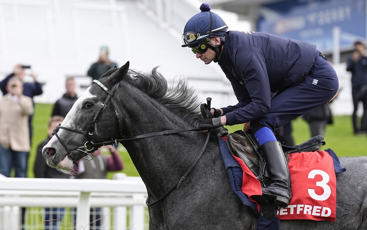 Derby hope Nightwalker (Rab Havlin) at Epsom. Photo: John Hoy / Jockey Club