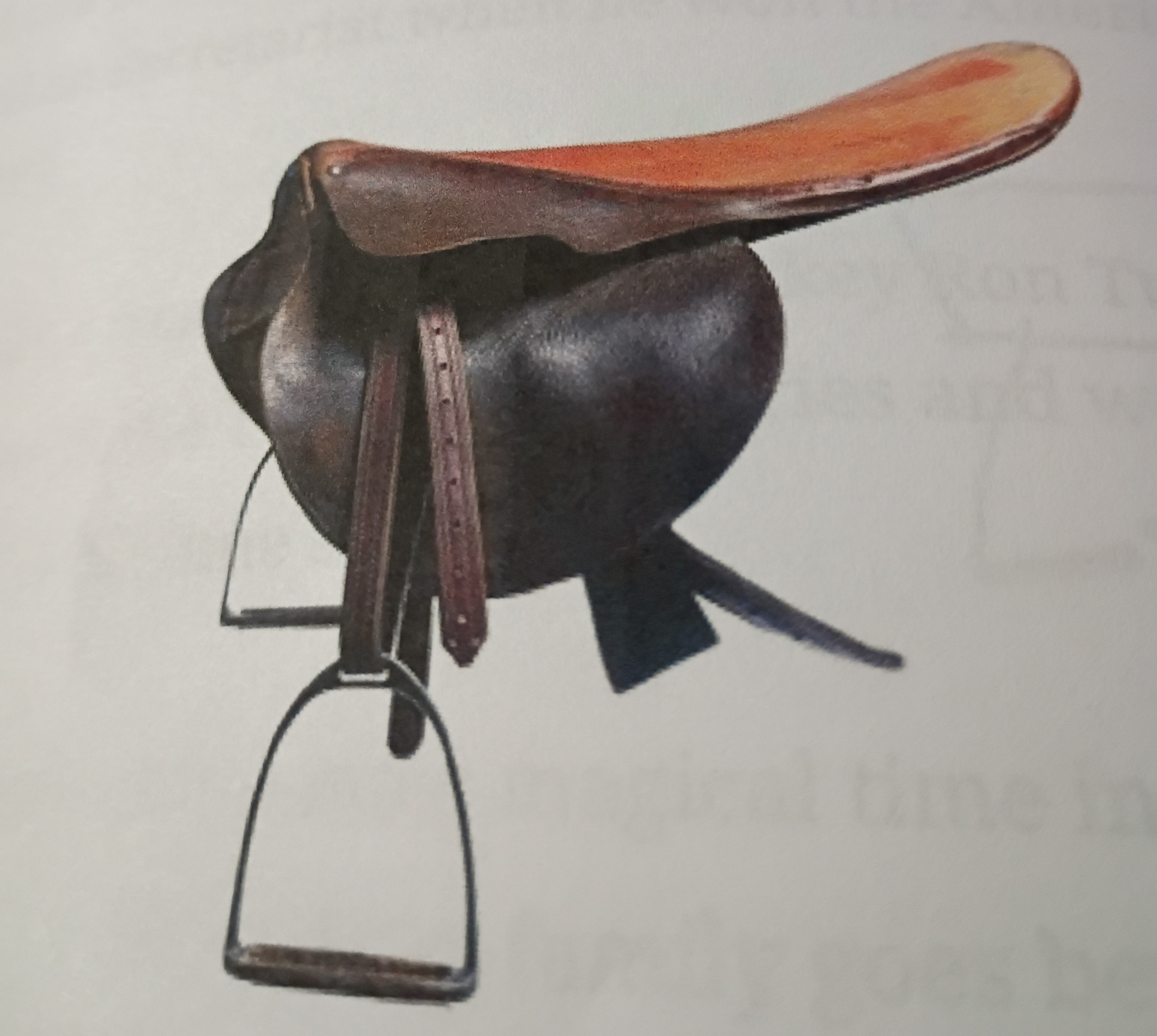 The $2m saddle: Jim Irsay added Ron Turcotte’s Triple crown saddle to his collection of sporting memorabilia in 2023