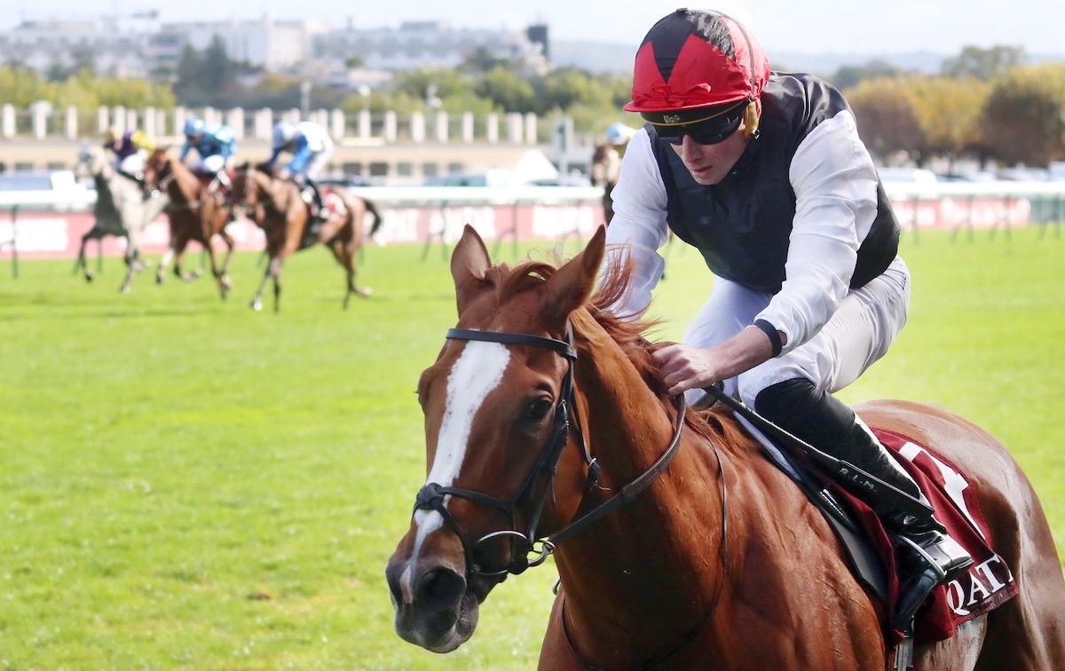 Kyprios: eight-time G1 winner. Photo: Galoppfoto / Racingfotos.com for IFHA