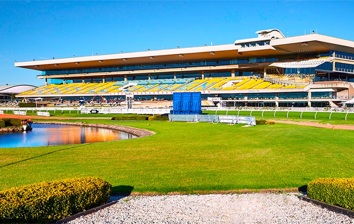 Rosehill Gardens: ATC members veto redevelopment plans. Photo: Austadiums.com