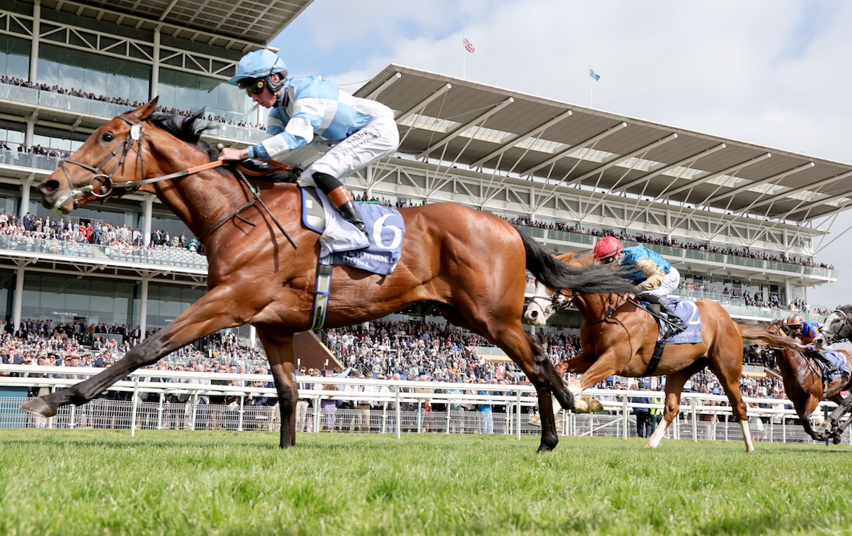 Dante darling: Pride Of Arras (Rossa Ryan) beats Damysus at York. Photo: Dan Abraham / focusonracing.com